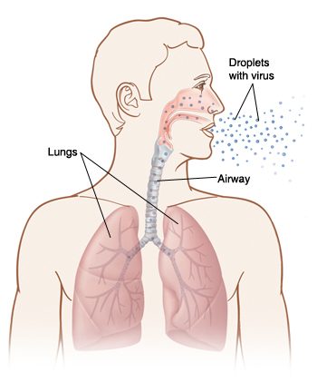 Krames Online - The Flu (Influenza)